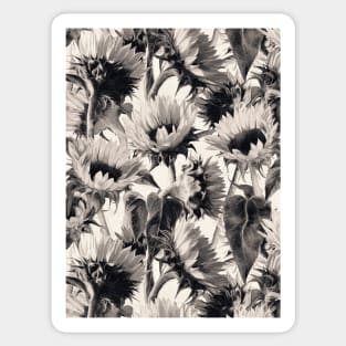 Sunflowers in Soft Sepia Sticker